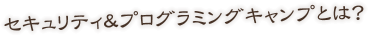 セキュリティ＆プログラミングキャンプとは？